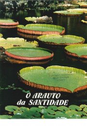 O ARAUTO DA SANTIDADE - MAIO 1986